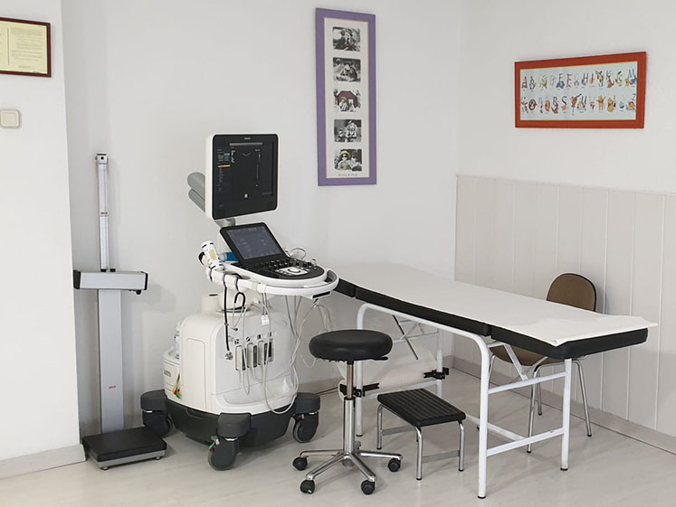Cardiopatías Congénitas